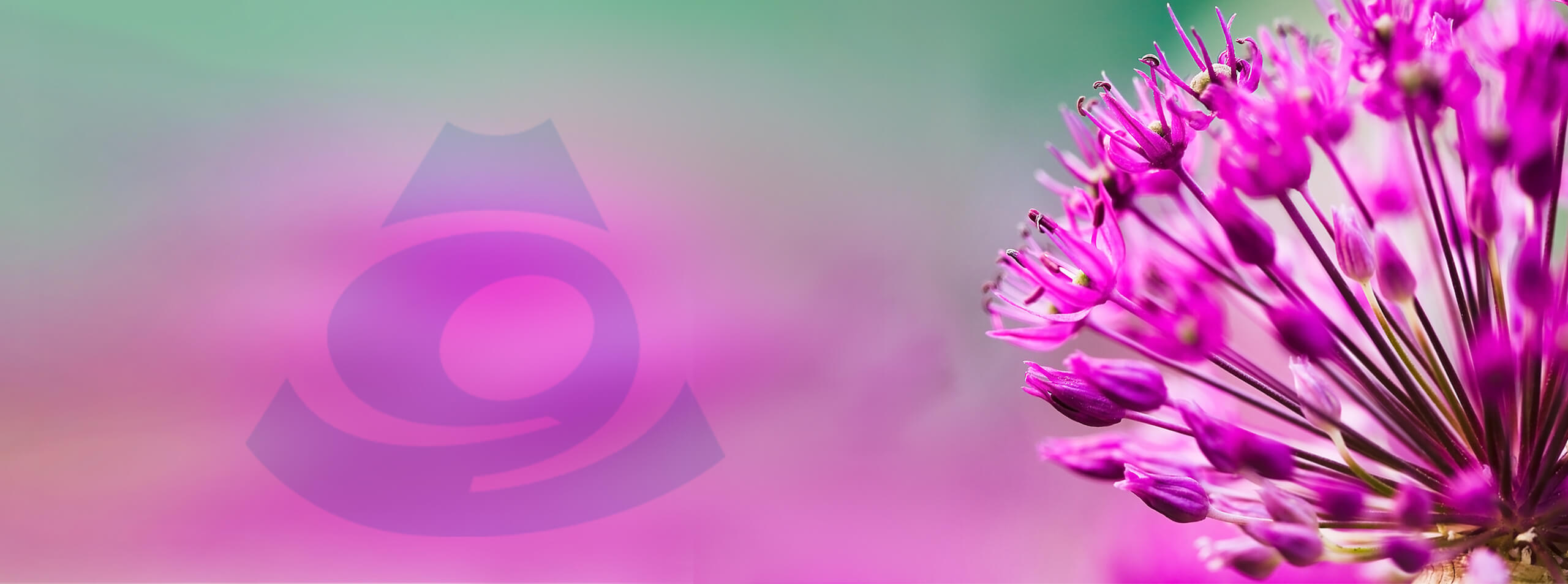 Naturheilverfahren, Ernährungsmediziner (KÄB), Kempten-Allgäu